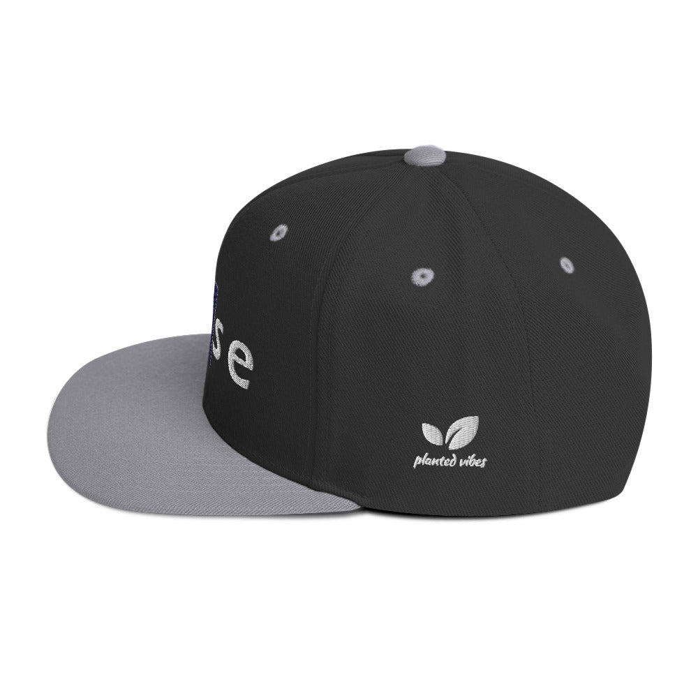Pause Snapback