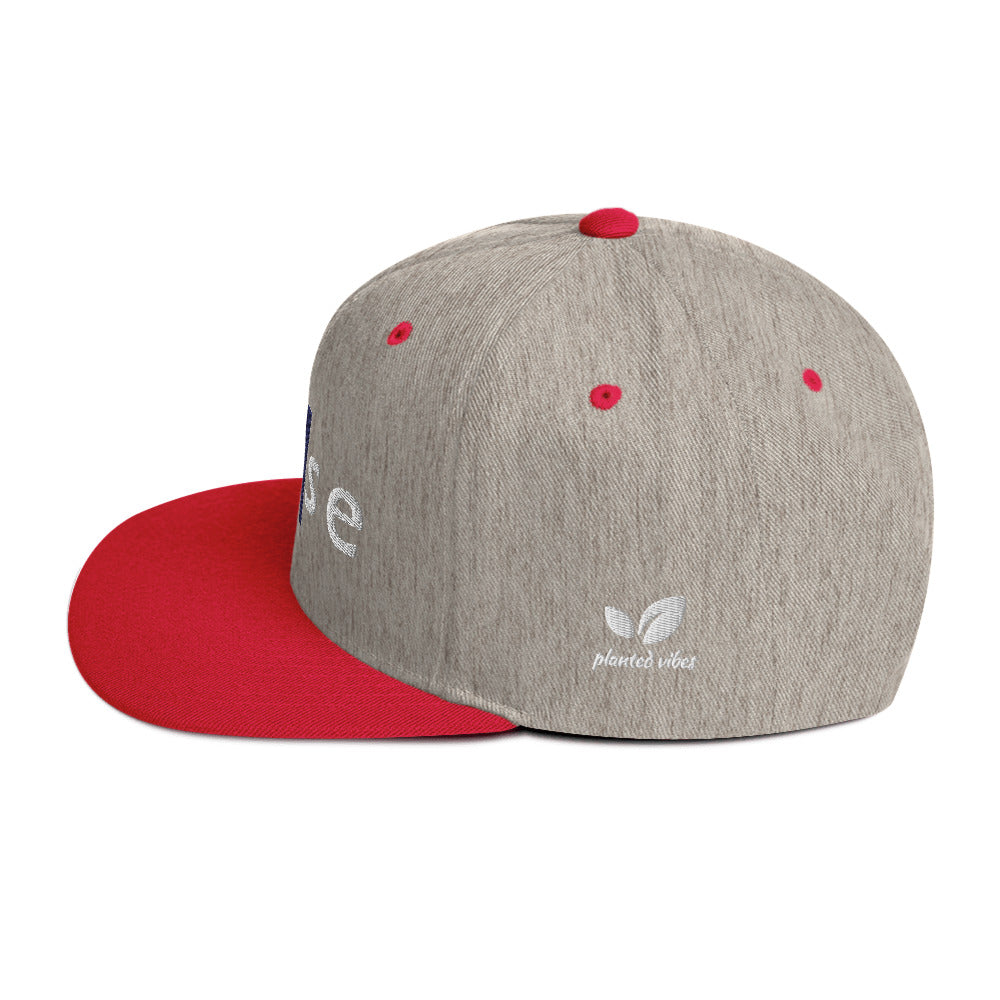 Pause Snapback