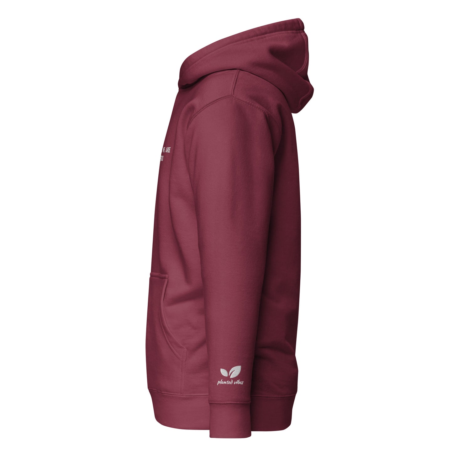 Embroidered 'Monsters' Hoodie